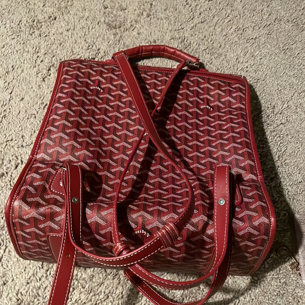 Designer Backpack - Picture 2 of 7